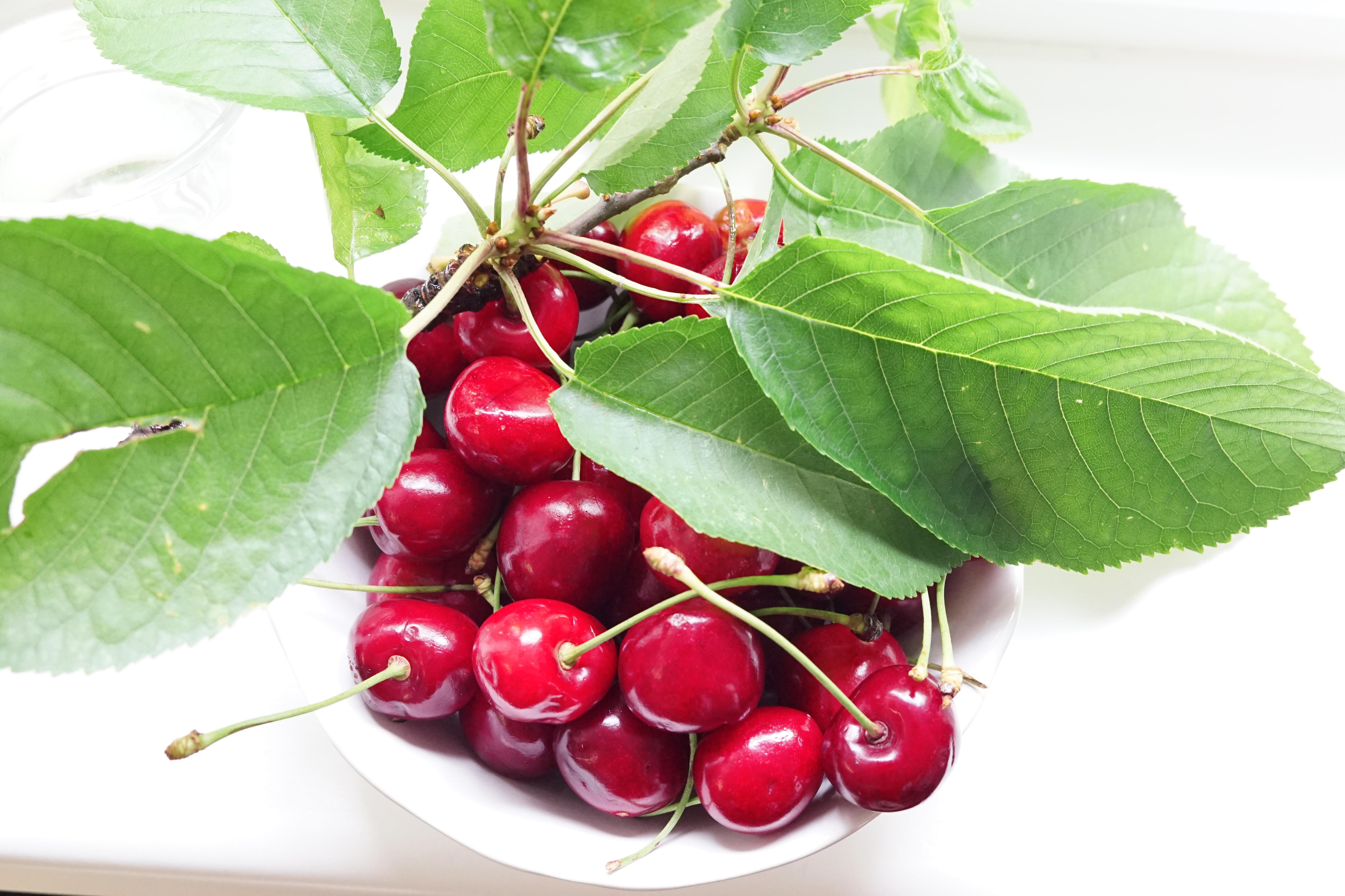 Kirschkuchen, mehlfrei, getreidefrei, frei von künstlichen Aromen und Konservierungsmitteln, glutenfrei, laktosefrei, gesunde Nachspeise, gesunder Kuchen, wenig Kohlenhydrate, gesundes Fett, schneller gesunder Paleo Kuchen. Low carb, zuckerfrei