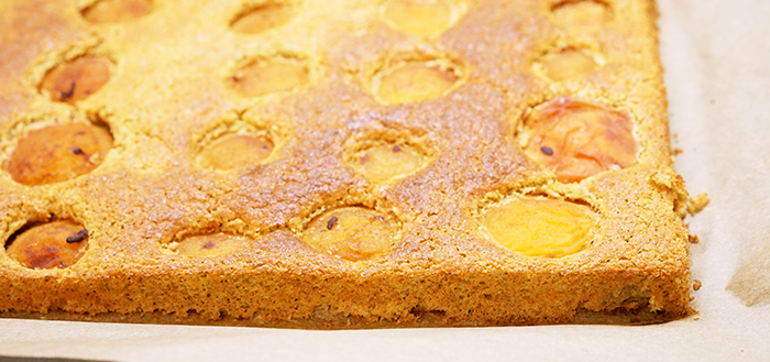Elke Eisner - Paleo-Marillenkuchen