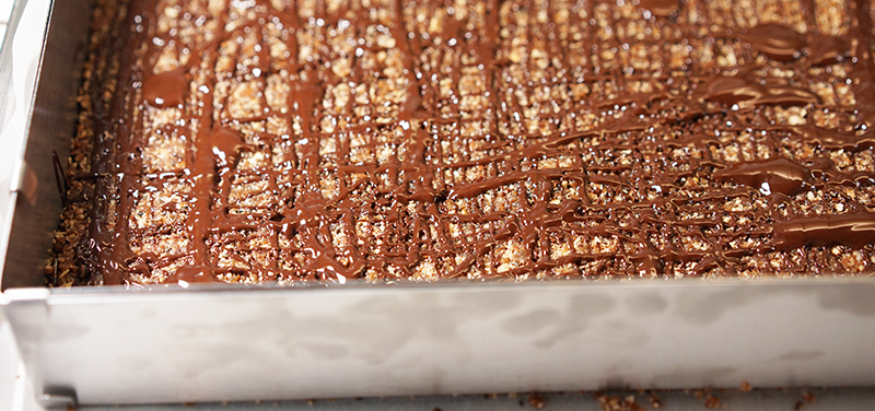 Elke Eisner - Paleo Müsliriegel „süßer Fratz“