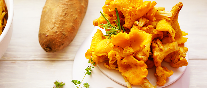 Elke Eisner - Gefüllte Zucchini „Paleo-Style“